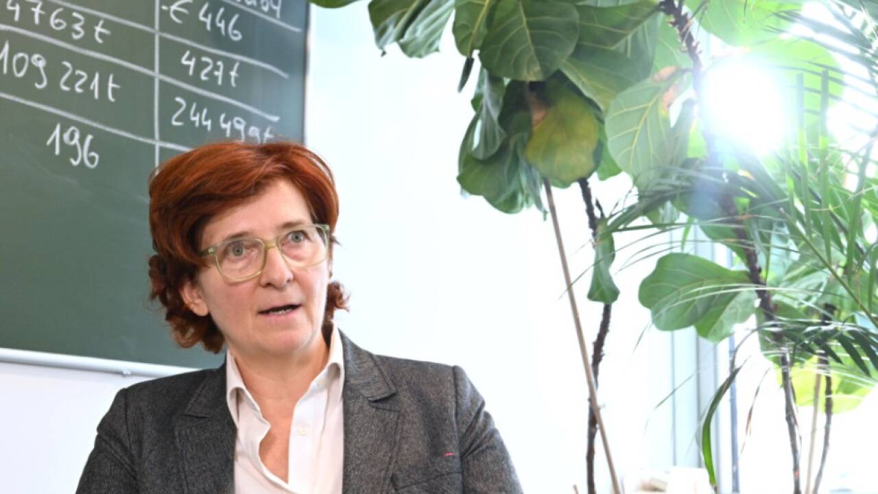 Stagl: Österreich bei Emissionsreduktion "schlecht unterwegs"  Stagl: Österreich bei Emissionsreduktion 'schlecht unterwegs'