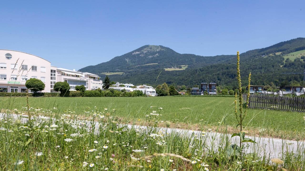 Mit dem Räumlichen Entwicklungskonzept wird es auch potenzielle Tauschflächen in der Grünlanddeklaration geben. Das betrifft auch Aigen-Süd und -Mitte.  