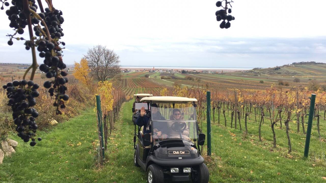 Golf Car Genuss  