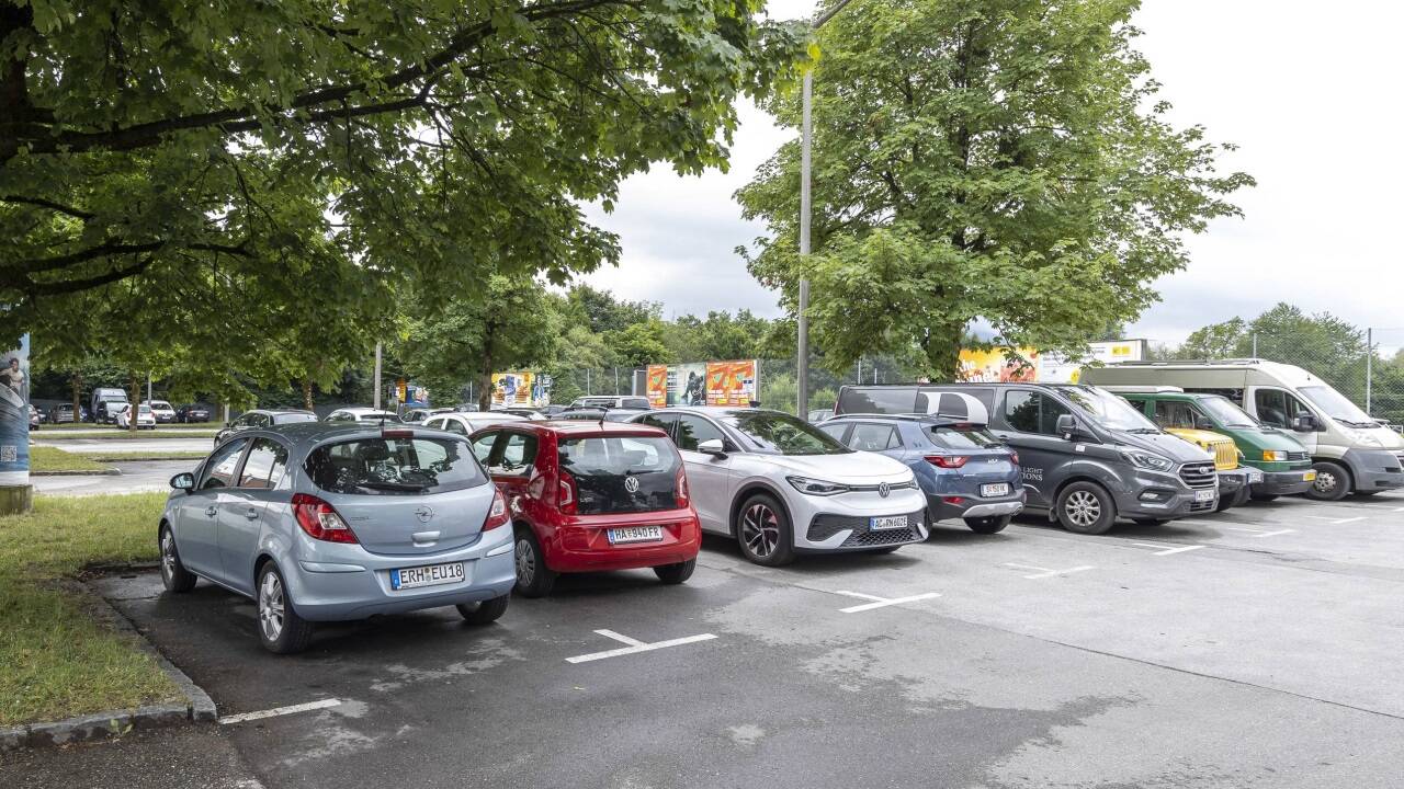 Der Parkplatz beim PSV-Sportplatz in der Nähe der Alpenstraße ist geschütztes Grünland. 