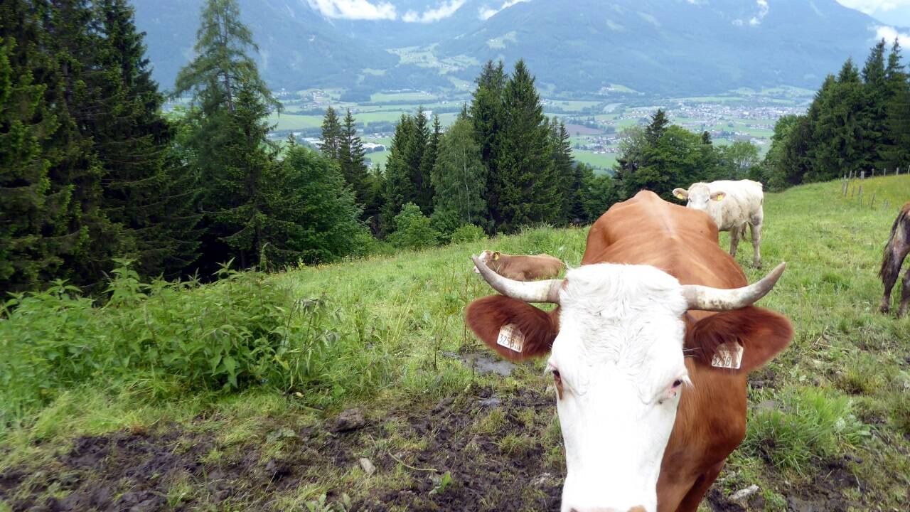 Energietankstelle über dem Salzachtal. 