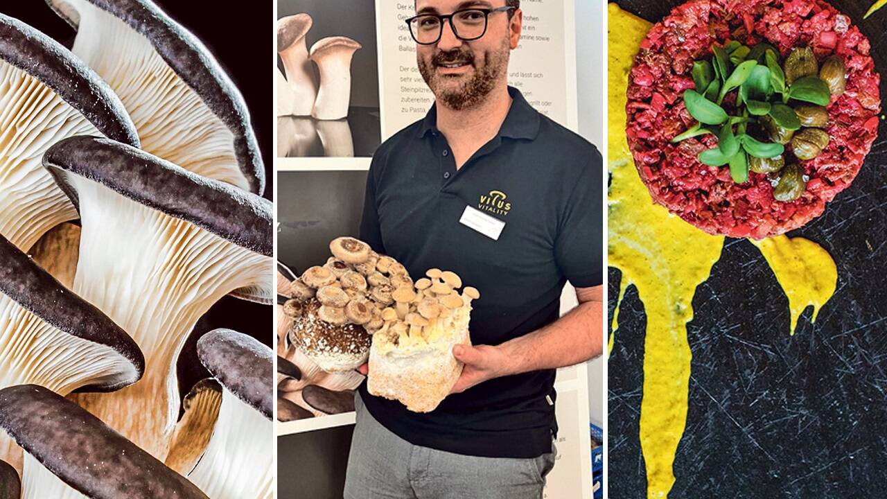 Mitte: Vitus-Vitality-Salesmanager Daniel Schwarz. Links und rechts: Pilze als Grundlage für vegane Gerichte. 