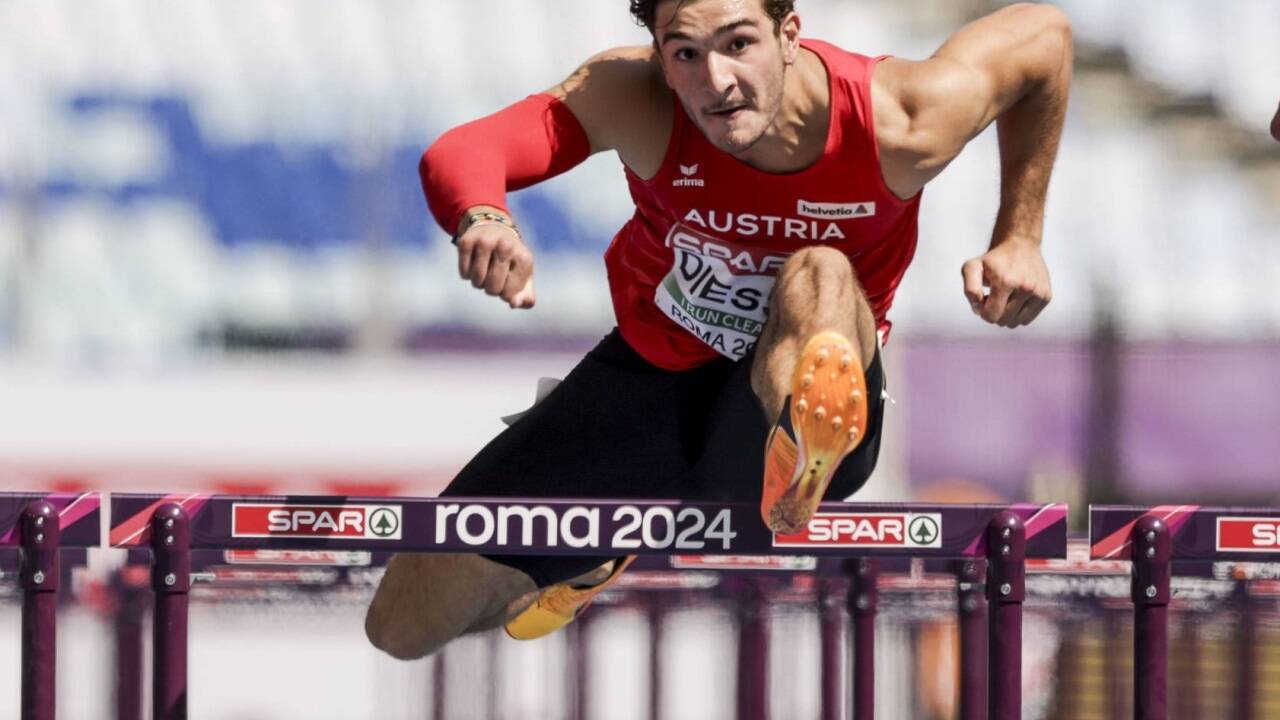 Enzo Diessl. Enzo Diessl.