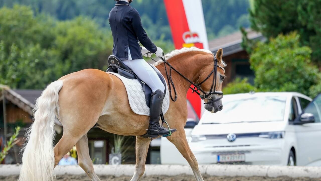 Landesmeisterin Noriker: Manuela Scheffbänker mit Paula. 