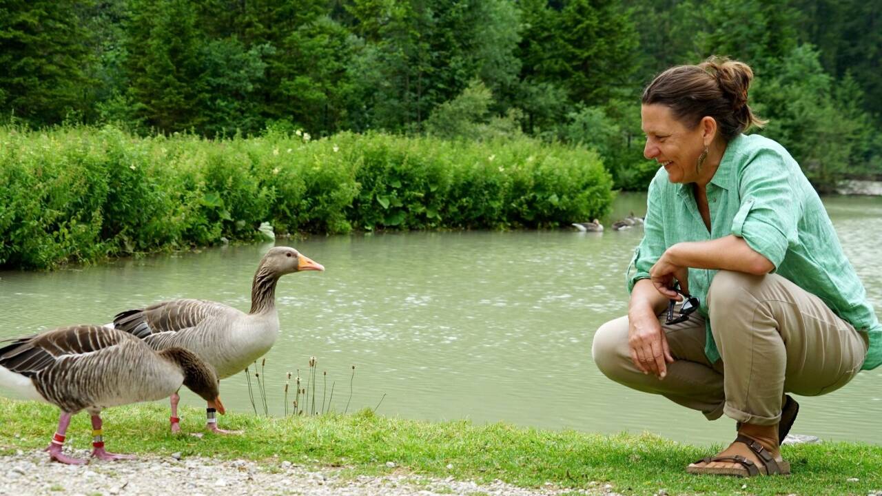 Sonia Kleindorfer vom Konrad Lorenz Institut in Grünau im Almtal. 