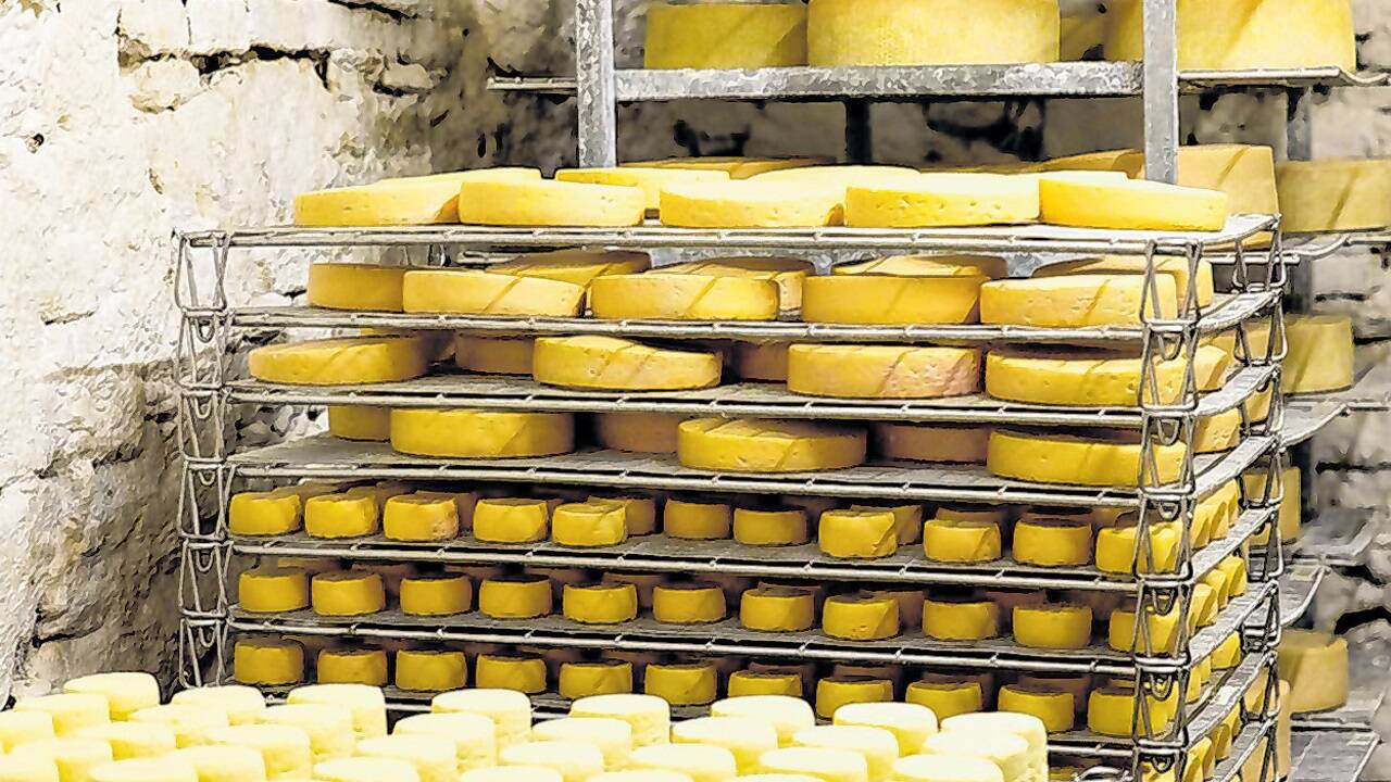 Die Produkte der Biohofkäserei Deutschmann sind allesamt aus Rohmilch hergestellt. 