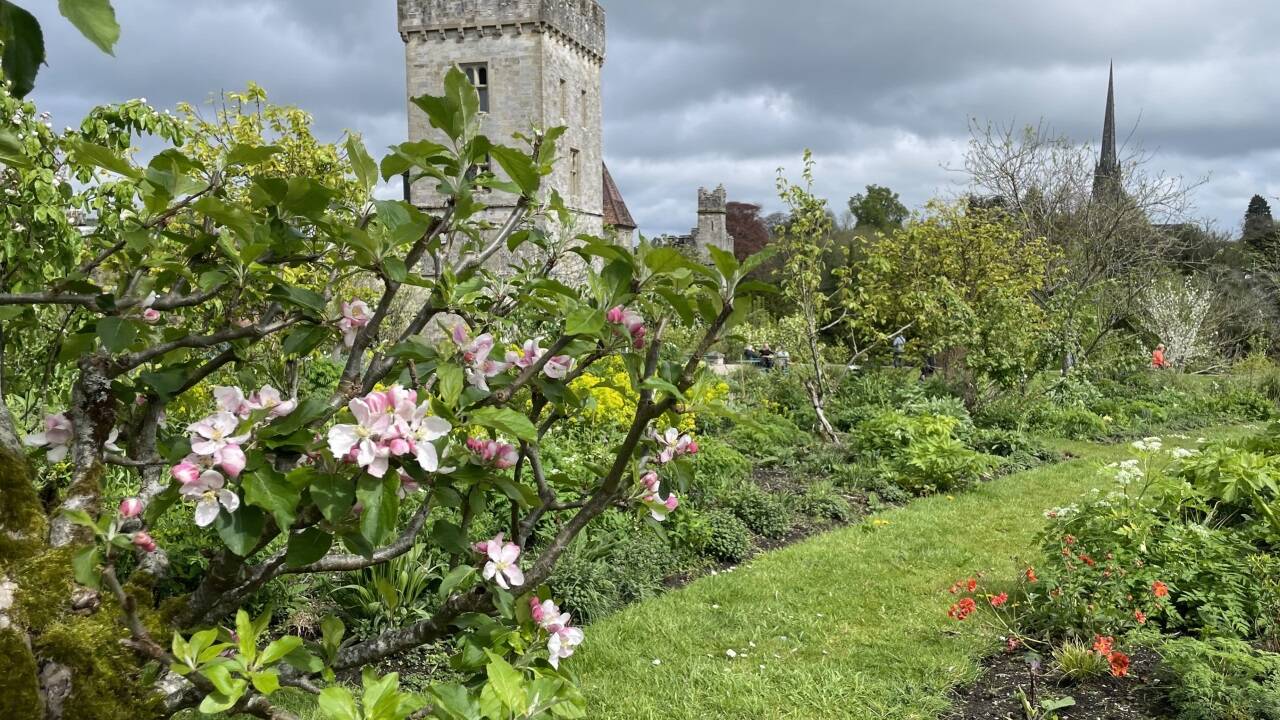 Die Höhenburg Lismore Castle der Familie Cavendish im County Waterford ... 