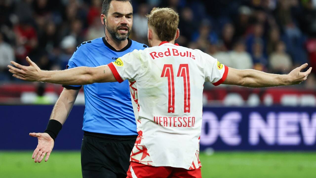 Nicht immer sind Profifußballer und Schiedsrichter einer Meinung. 
