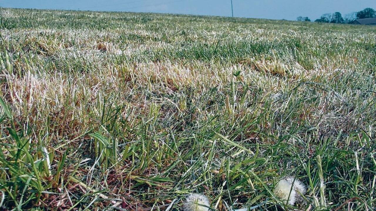 Um sich gegen lang anhaltende Trockenheit, Starkregen oder Hagel abzusichern, setzen die meisten Landwirte auf die Österreichische Hagelversicherung.Künftig sollen die Kriterien für staatliche Zuschüsse angepasst werden.   Um sich gegen lang anhaltende Trockenheit, Starkregen oder Hagel abzusichern, setzen die meisten Landwirte auf die Österreichische Hagelversicherung.Künftig sollen die Kriterien für staatliche Zuschüsse angepasst werden.