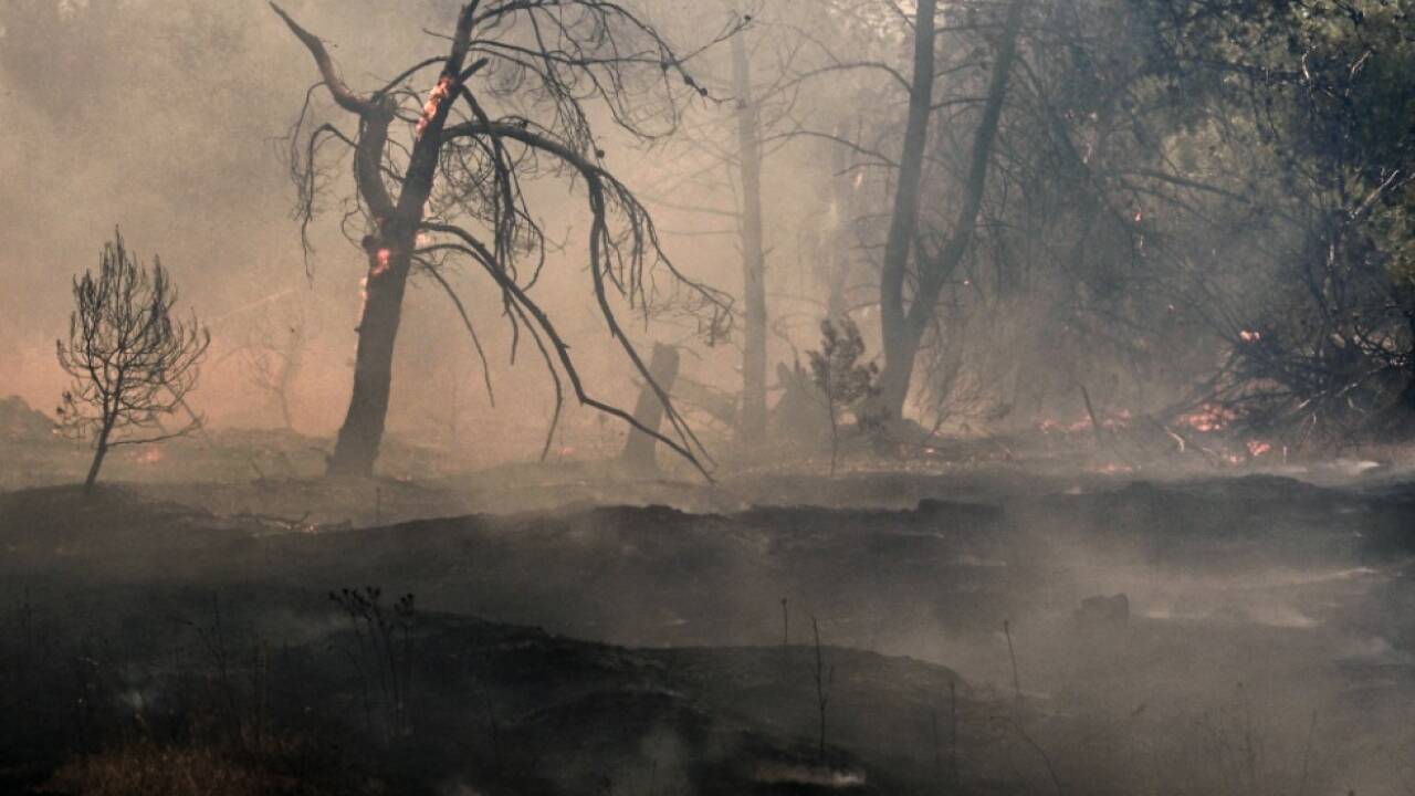 Südeuropa im festen Griffe des Feuers 