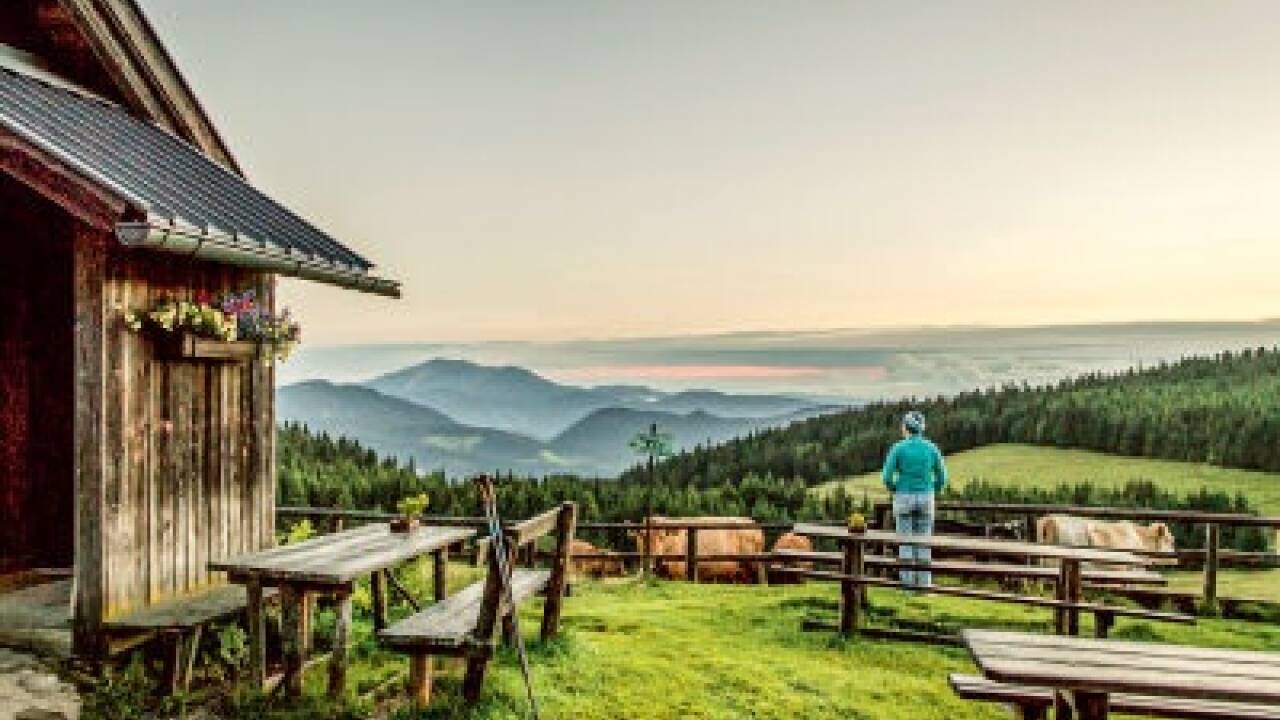 Immer wieder gute Aussichten: Panoramastopp auf der Kranichberger Schwaig.  