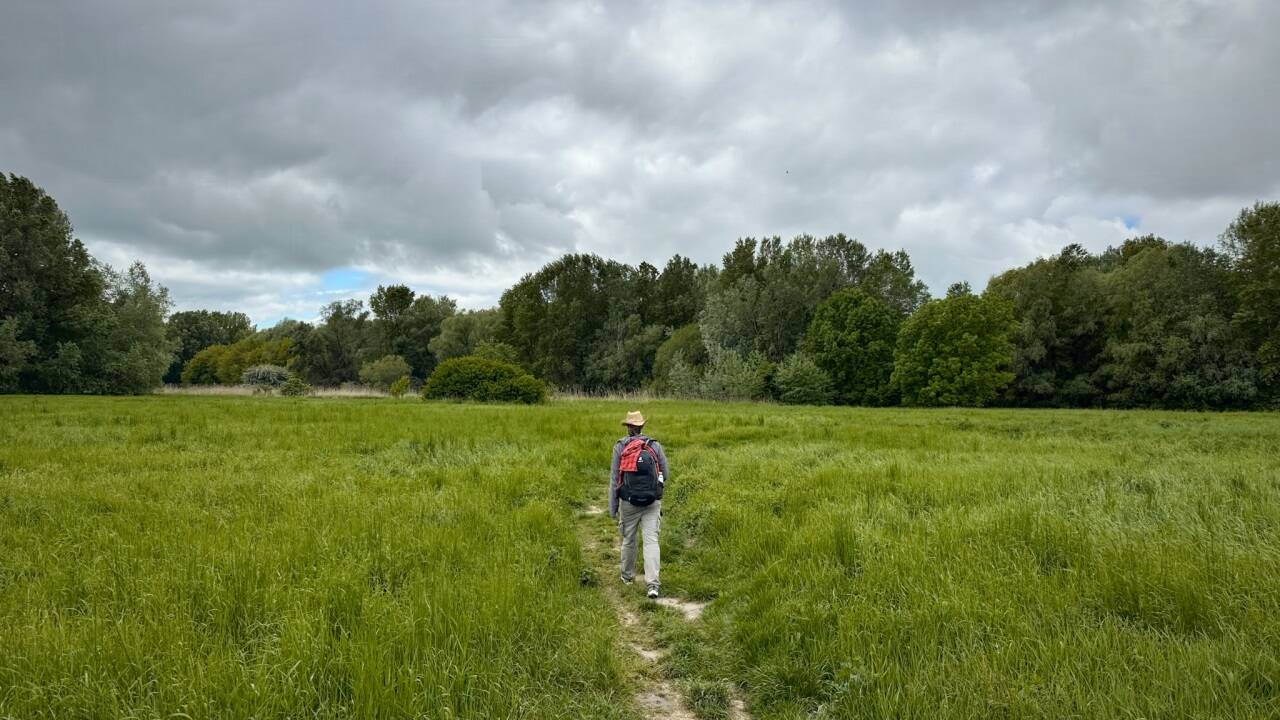 Gehen, wandern, immer weiter. Auch durch unwegsames Gelände. 