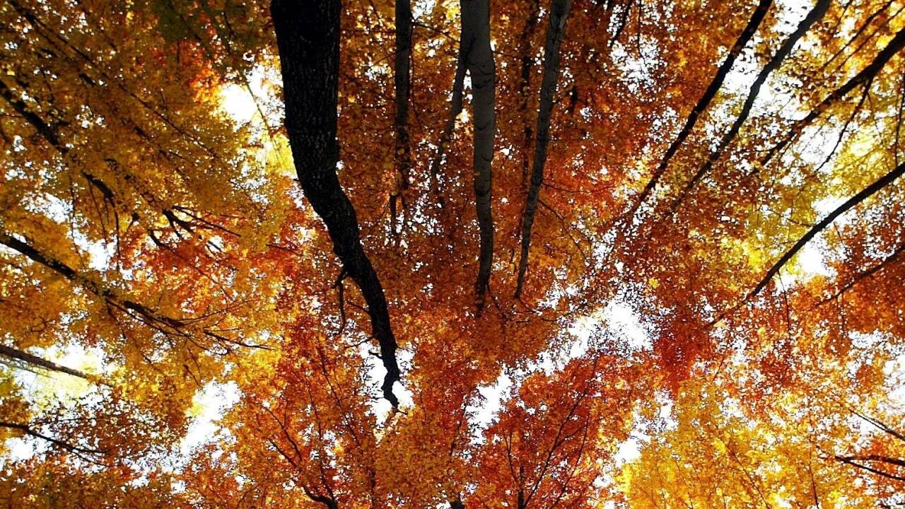 Freuen wir uns des Sommers, der politische Herbst wird möglicherweise lange dauern. Freuen wir uns des Sommers, der politische Herbst wird möglicherweise lange dauern.