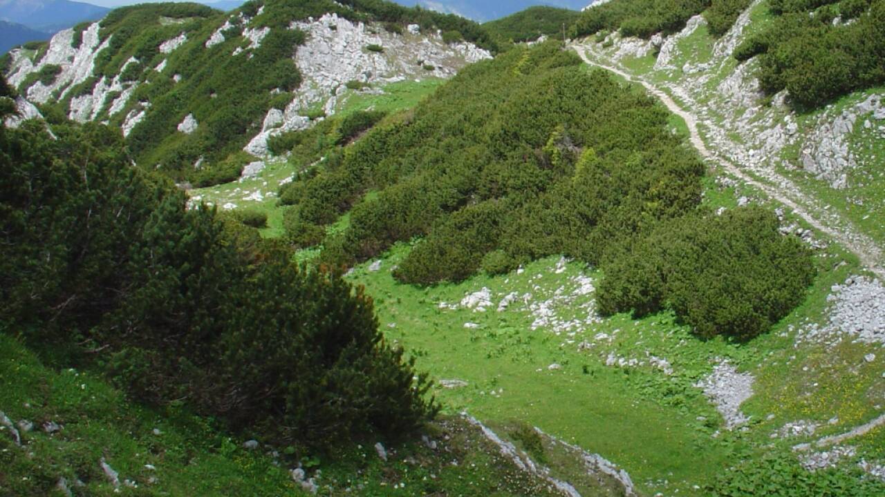 6. Platz: Schneeberg. 