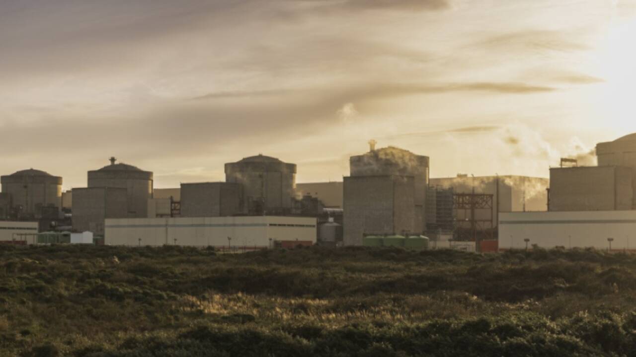 Tiere kamen mit dem Wasser aus der Nordsee 