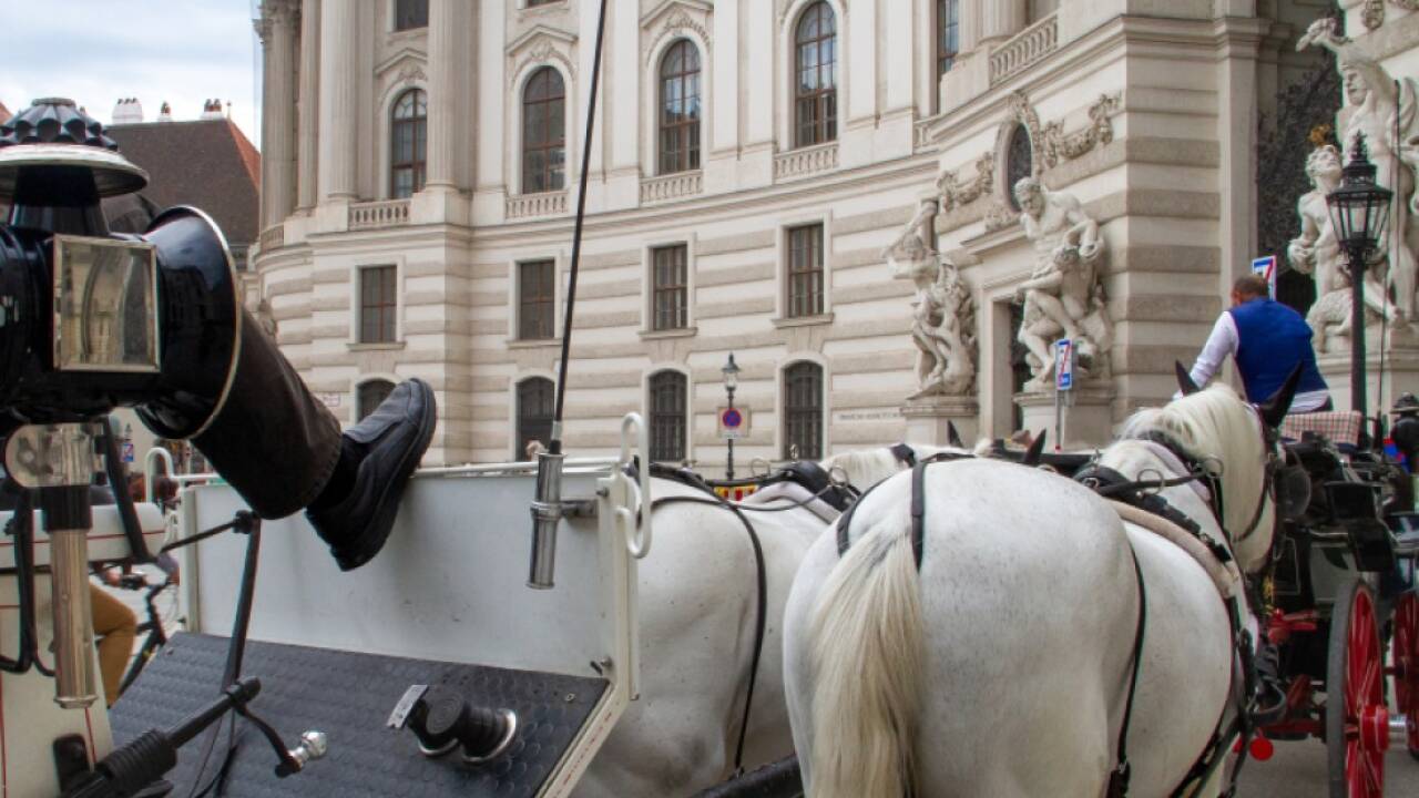 Fiakerpferde kommen laut einer Studie gut mit Hitze zurecht 