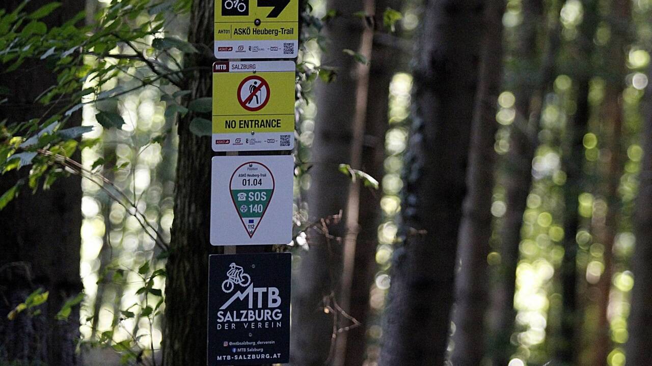 Der ASKÖ-Trail auf dem Heuberg in Koppl ist derzeit der einzige im Zentralraum. Er wurde mit möglichst wenig Eingriffen in die Landschaft gebaut und ist daher nur für sehr geübte Fahrer geeignet – im Bild Teilnehmer des Afterworkrides des Vereins Mountainbike Salzburg. Der ASKÖ-Trail auf dem Heuberg in Koppl ist derzeit der einzige im Zentralraum. Er wurde mit möglichst wenig Eingriffen in die Landschaft gebaut und ist daher nur für sehr geübte Fahrer geeignet – im Bild Teilnehmer des Afterworkrides des Vereins Mountainbike Salzburg.