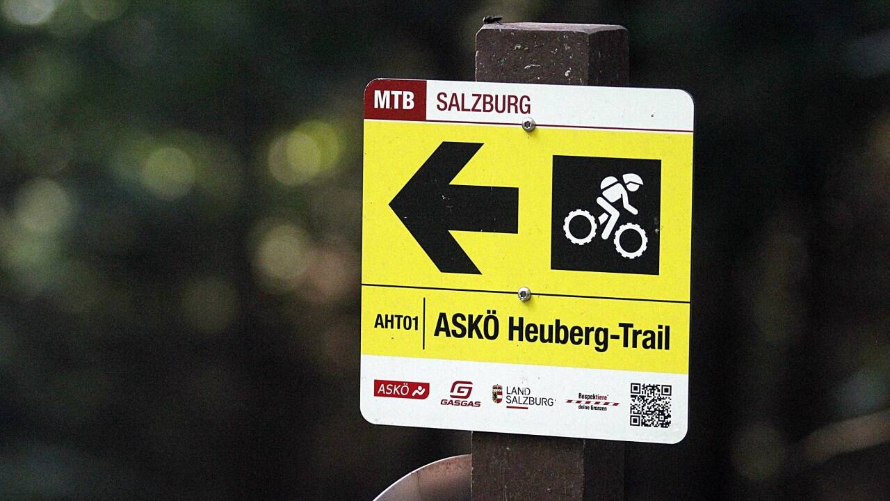 Der ASKÖ-Trail auf dem Heuberg in Koppl ist derzeit der einzige im Zentralraum. Er wurde mit möglichst wenig Eingriffen in die Landschaft gebaut und ist daher nur für sehr geübte Fahrer geeignet – im Bild Teilnehmer des Afterworkrides des Vereins Mountainbike Salzburg. Der ASKÖ-Trail auf dem Heuberg in Koppl ist derzeit der einzige im Zentralraum. Er wurde mit möglichst wenig Eingriffen in die Landschaft gebaut und ist daher nur für sehr geübte Fahrer geeignet – im Bild Teilnehmer des Afterworkrides des Vereins Mountainbike Salzburg.