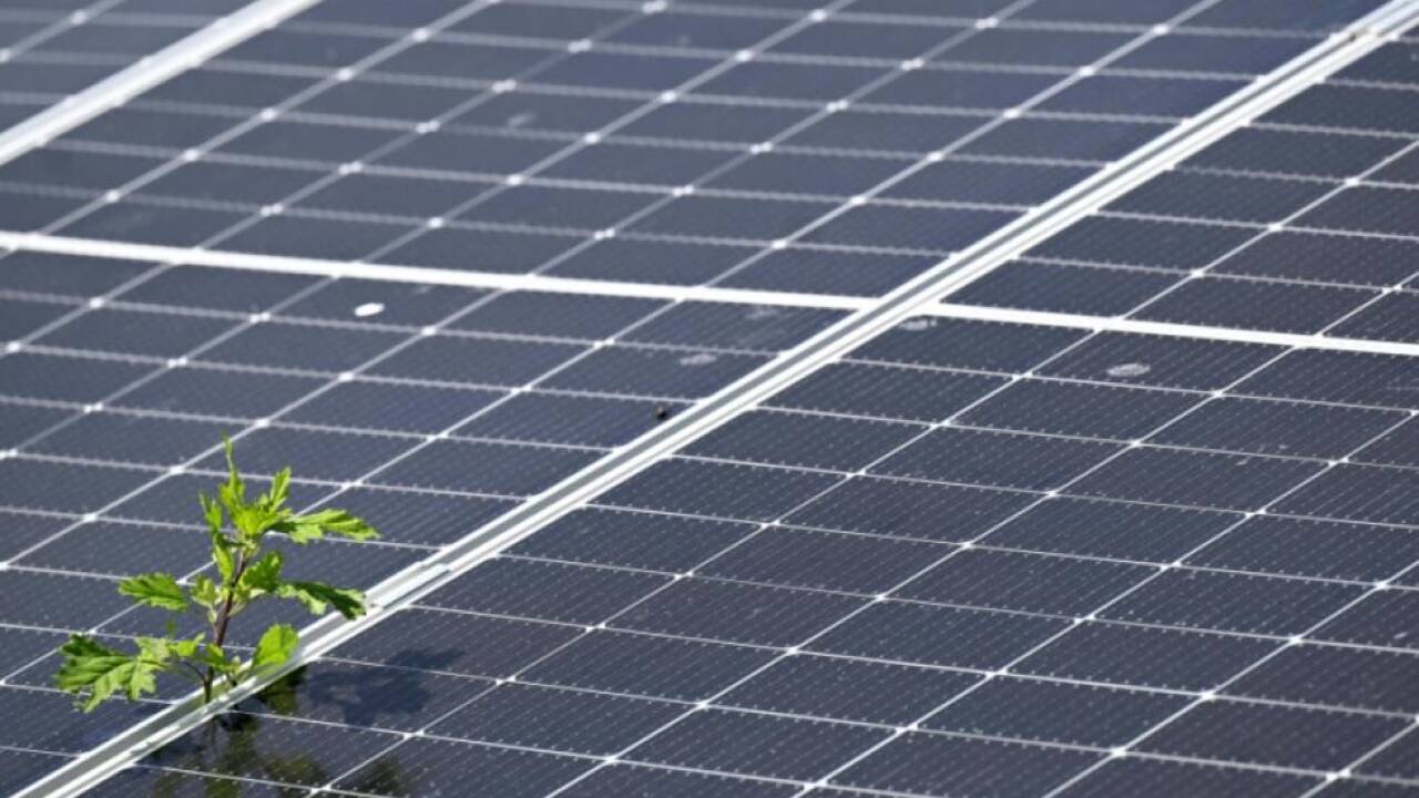 Wirtschaftsministerium stockte PV-Fördertopf kräftig auf 