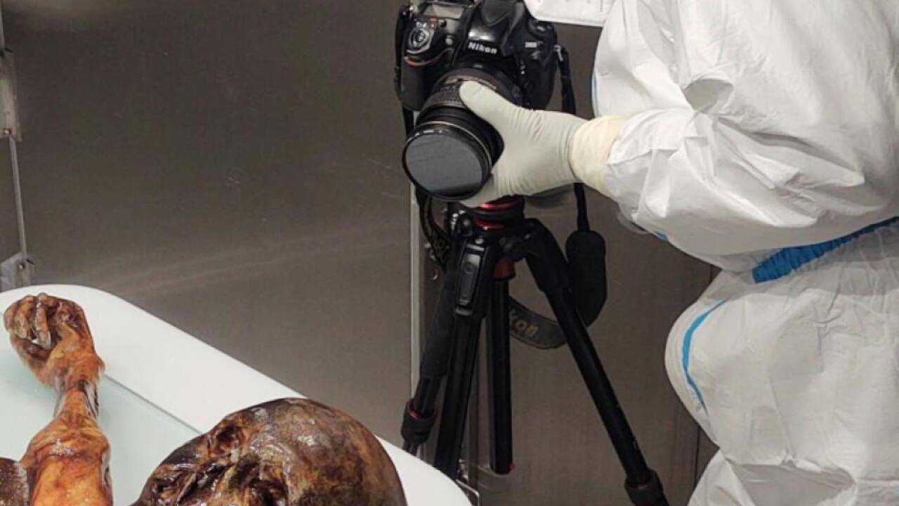 Hochauflösende 3D-Dokumentation der Gletschermumie Hochauflösende 3D-Dokumentation der Gletschermumie