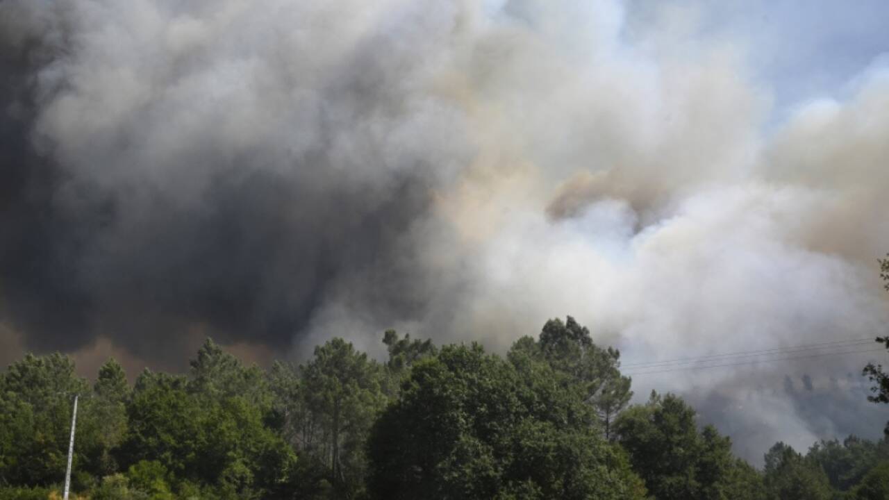 Fläche in der Größe von 42.000 Fußballfeldern vernichtet 