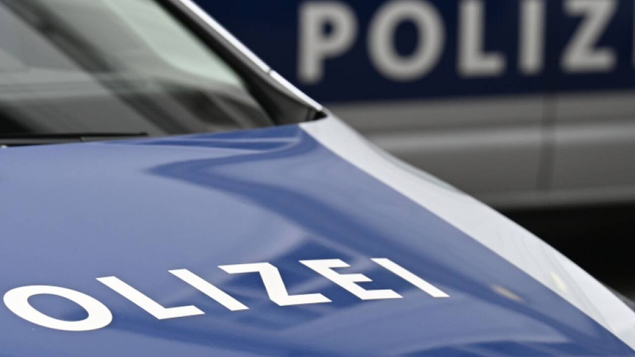 Die Tiroler Polizei nahm dutzende Tatverdächtige fest Die Tiroler Polizei nahm dutzende Tatverdächtige fest