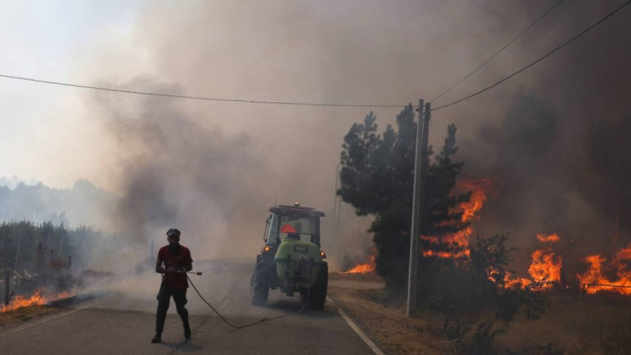 Portugal kämpft gegen Waldbrände 