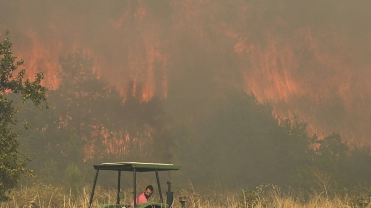 Das Schlimmste bei Waldbränden in Spanien scheint überstanden 