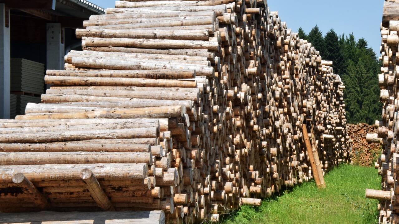 Im Holzlager bei Isolith ist ständig ein Jahresvorrat an Holz für die Produktion vorrätig. 