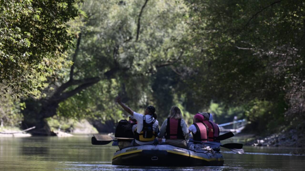 Die Donau und viele Arten erschließen sich "neue" Altarme wieder Die Donau und viele Arten erschließen sich 'neue' Altarme wieder