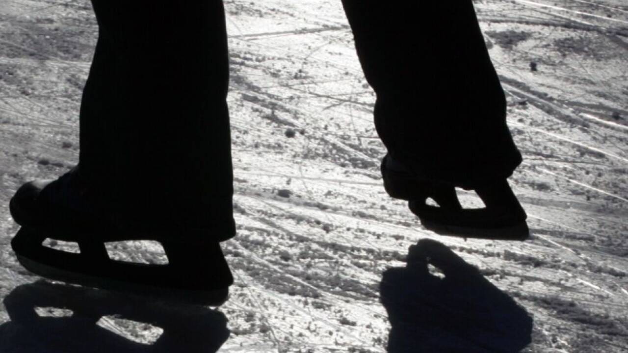 Eislaufplätze können im Sommer als Kunstrasenflächen genutzt werden 