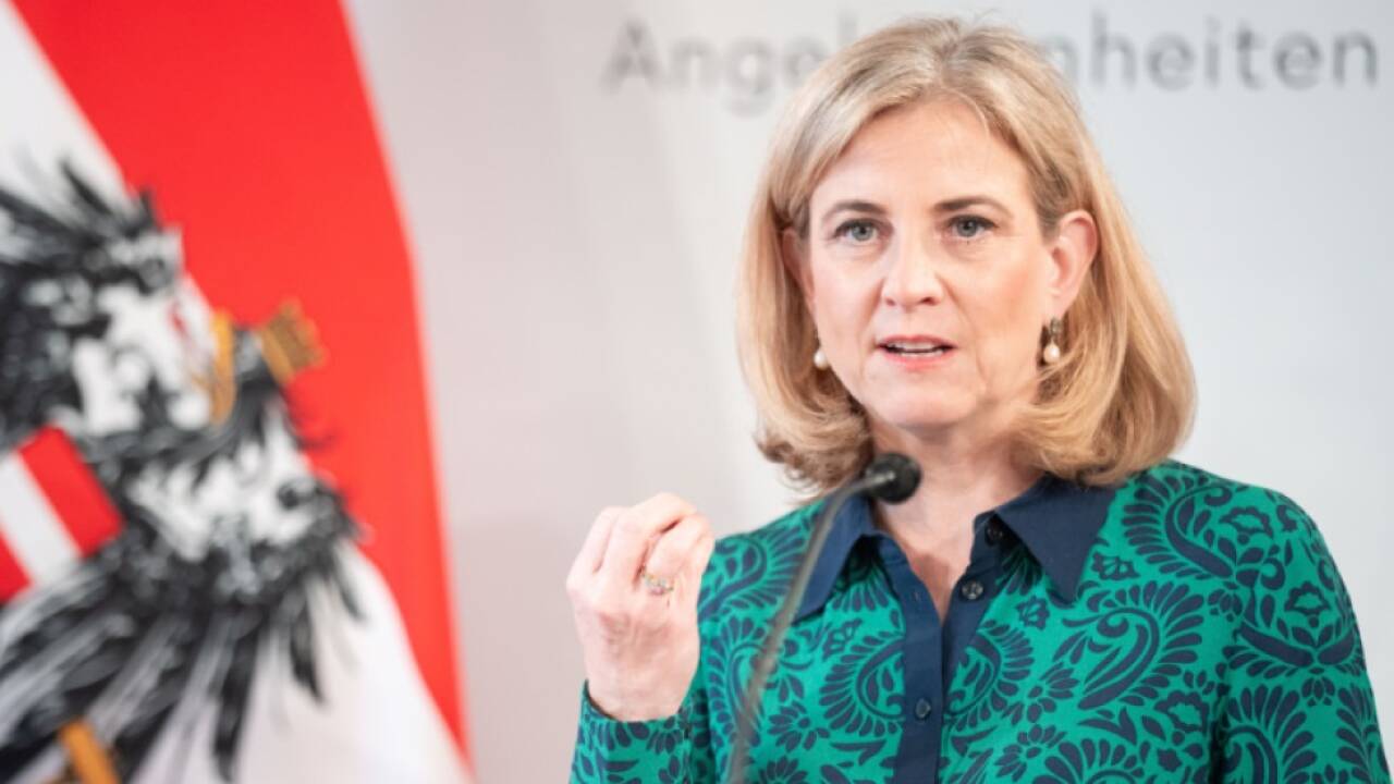 Außenministerin Meinl-Reisinger (Archivbild) 