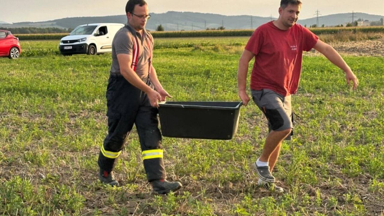 Die Feuerwehr rückte für 'Emil' aus 