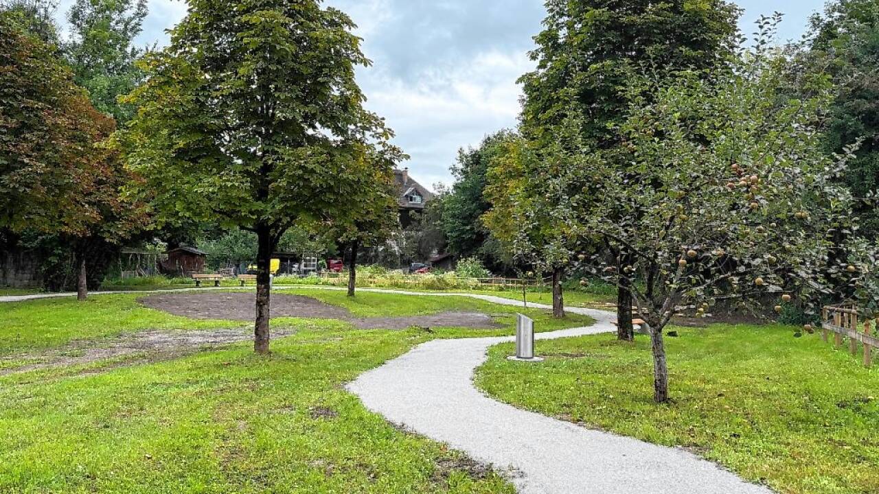 Der Halleiner Forstgarten – seit heuer hat ihn die Stadtgemeinde von den Bundesforsten gepachtet und für die Allgemeinheit umgestaltet.  