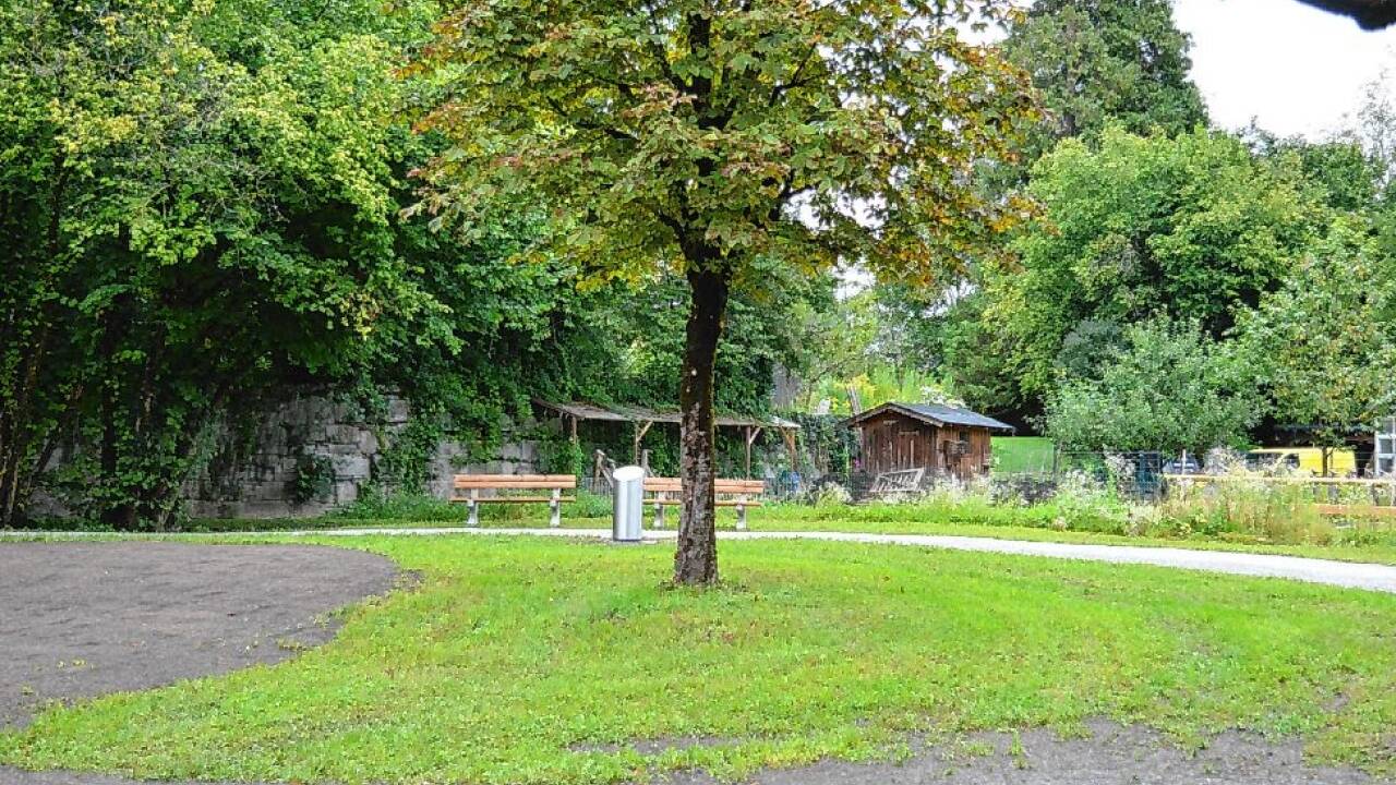 Der Halleiner Forstgarten – seit heuer hat ihn die Stadtgemeinde von den Bundesforsten gepachtet und für die Allgemeinheit umgestaltet.  