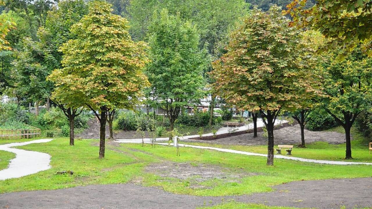 Der Halleiner Forstgarten – seit heuer hat ihn die Stadtgemeinde von den Bundesforsten gepachtet und für die Allgemeinheit umgestaltet.  