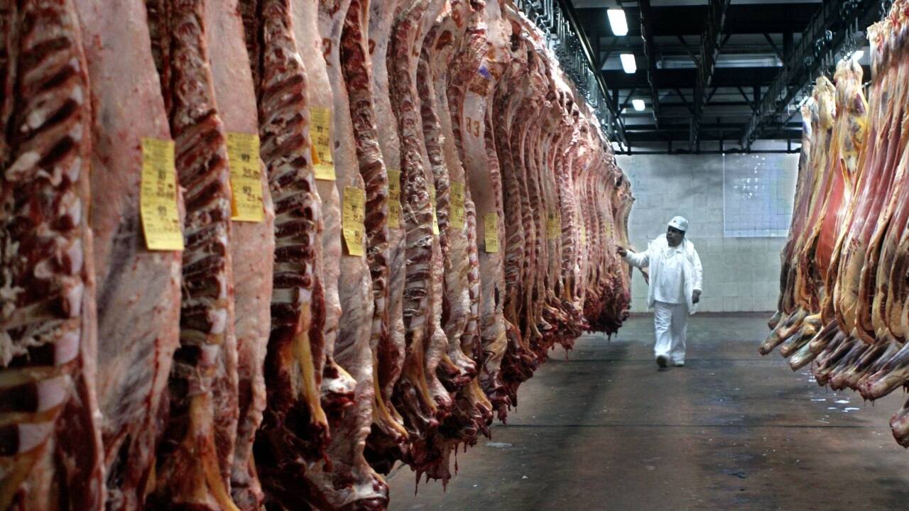 Landwirte fürchten, dass viel billiges Fleisch aus Südamerika in Europa und Österreich auf den Markt kommt. Landwirte fürchten, dass viel billiges Fleisch aus Südamerika in Europa und Österreich auf den Markt kommt.