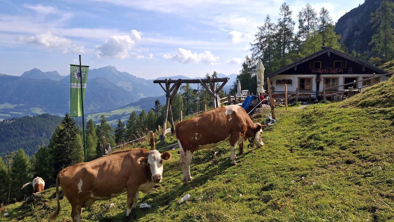 Die Gsengalm im Tennengebirge mit Blick auf das Gamsfeld. Die Gsengalm im Tennengebirge mit Blick auf das Gamsfeld.