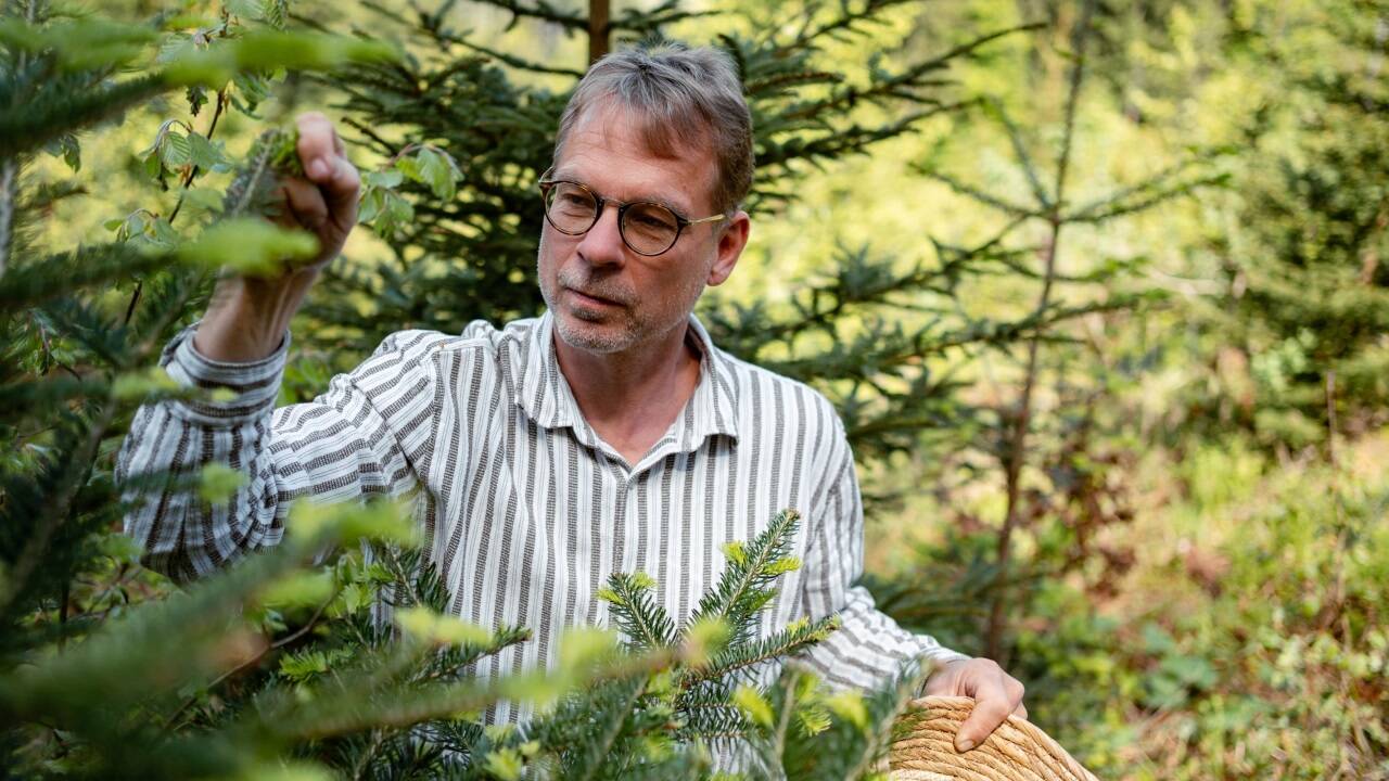 Welche Tannenwipferl nehme ich? Schwierige Frage für Braumeister Axel Kiesbye. 