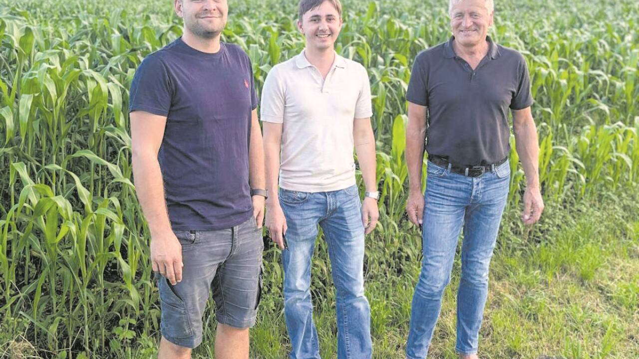 Die Männer hinter den Feldkunstwerken: Marcus Hastreiter (links) mit Vater Josef (rechts) und Cousin Felix Schnurpfeil.  