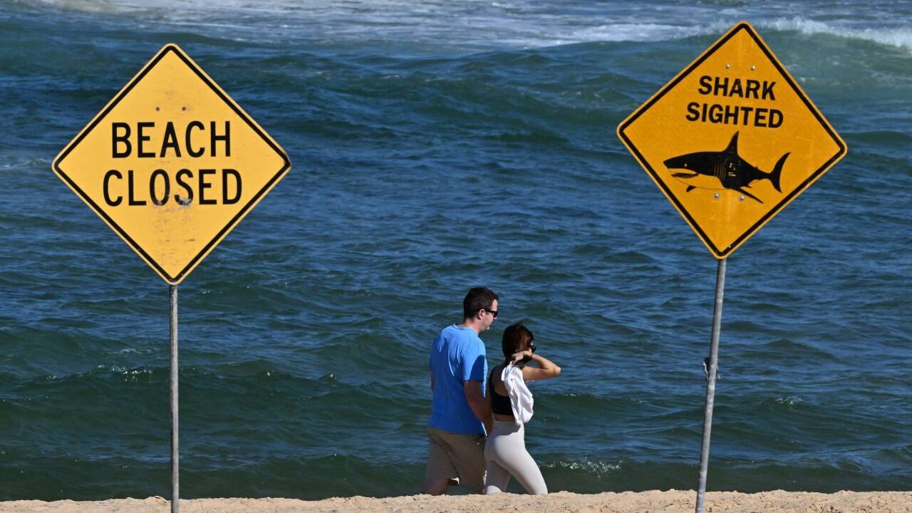 Der Badebereich am betroffenen Strand wurde gesperrt 