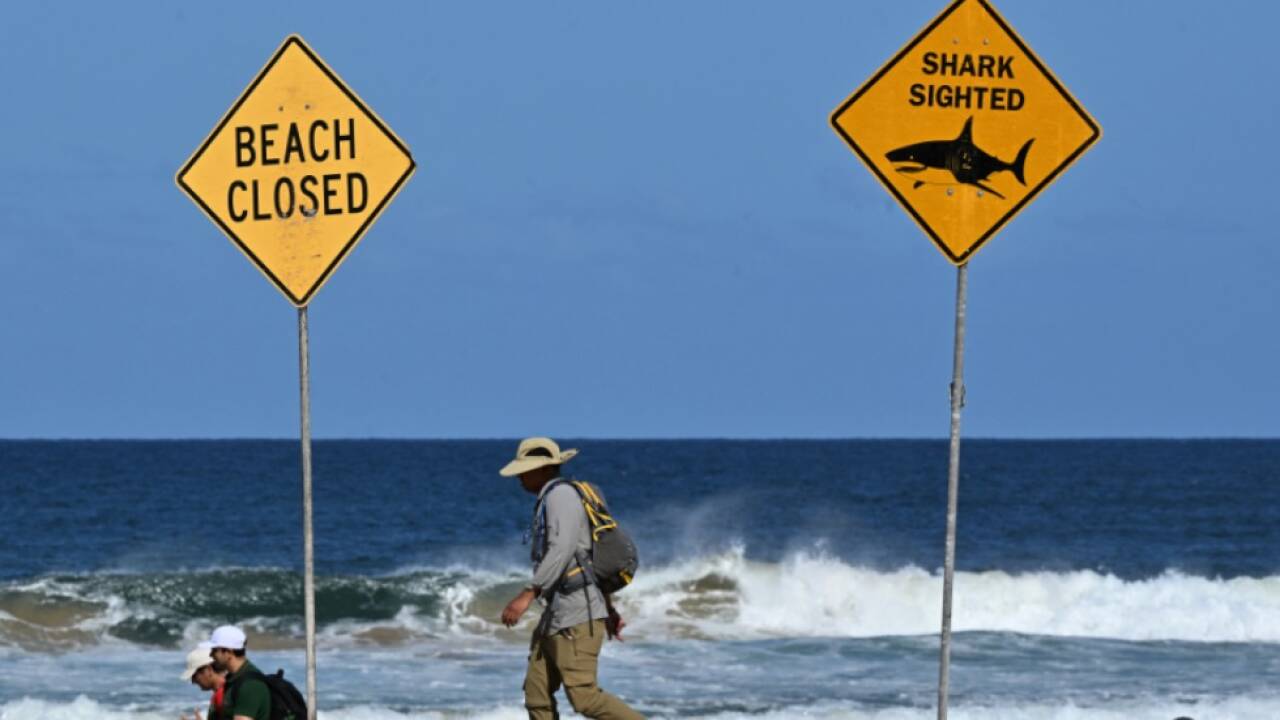 Der Badebereich am betroffenen Strand wurde gesperrt 