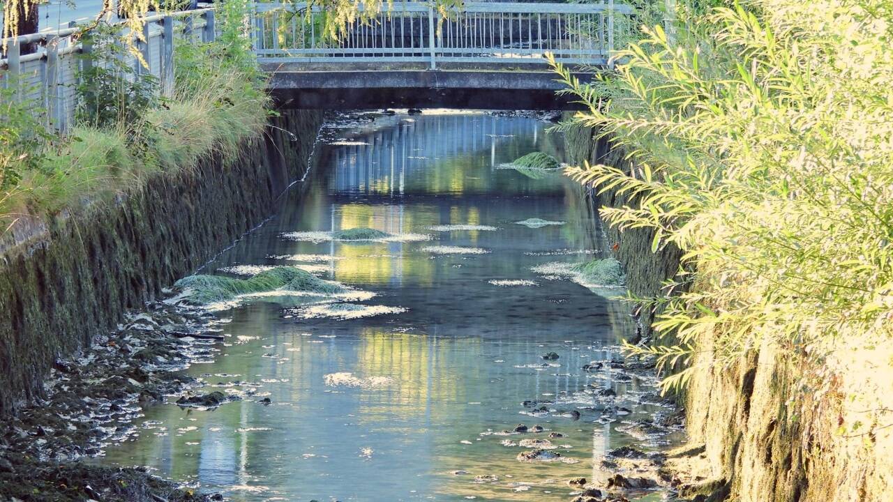 Almabkehr in Salzburg – zuvor müssen die Fische übersiedeln. 