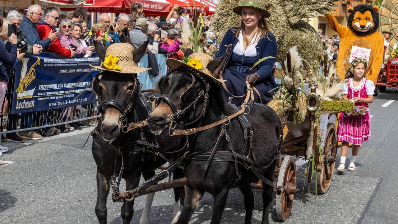 Die 19 Heufiguren wurden von Pferden, Eseln, Ponys oder historischen Traktoren gezogen. 