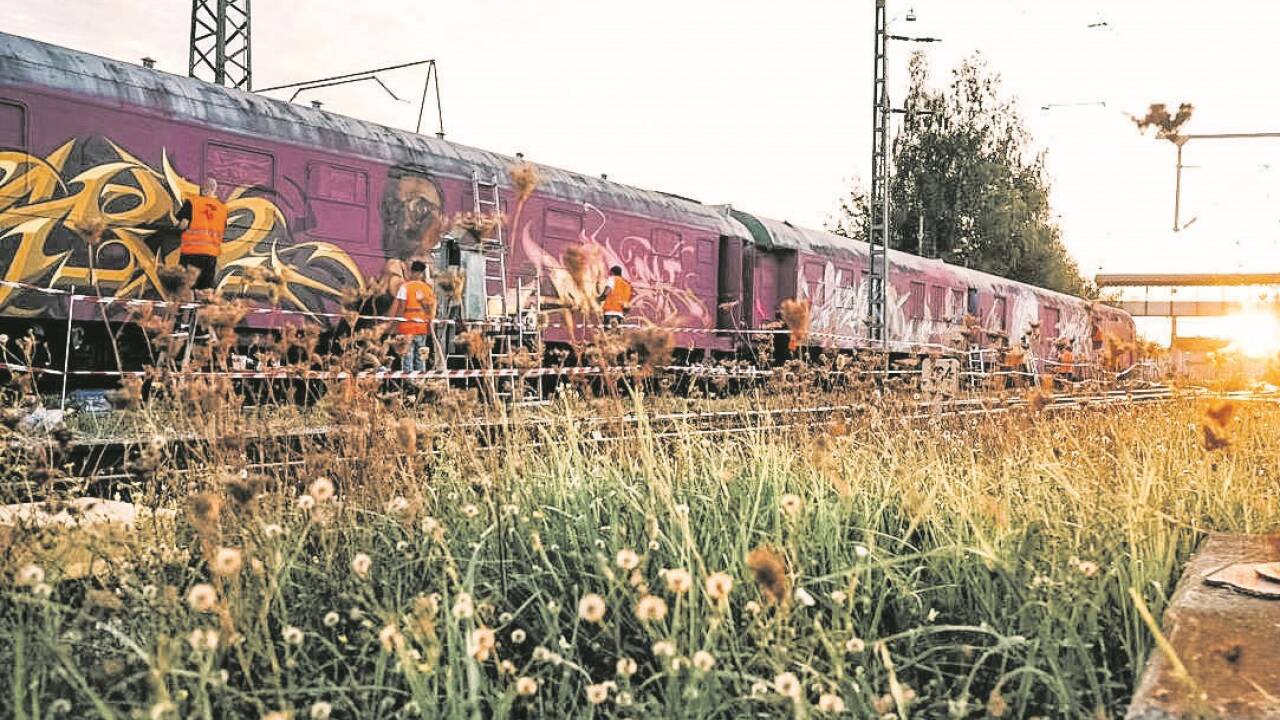 Diesen Zugwaggon gestalten die Sprayerinnen und Sprayer.  