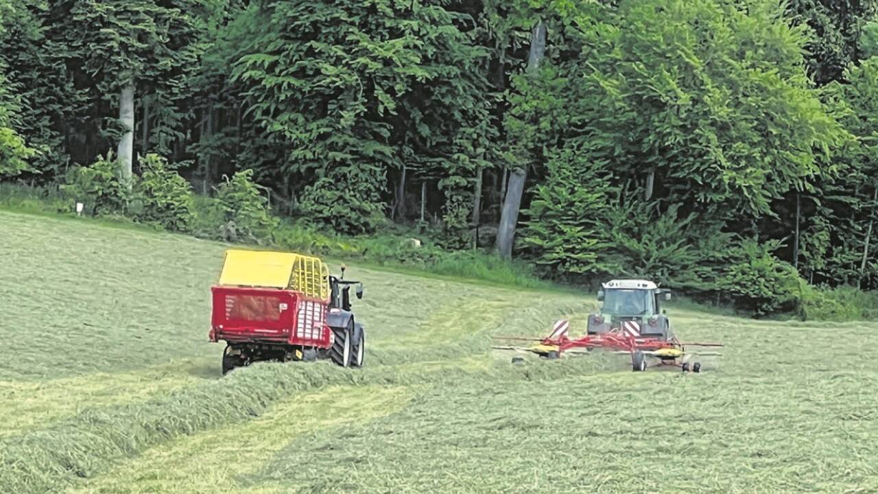 Für die Heuernte sind einige trockene Tage in Folge wichtig. Für die Heuernte sind einige trockene Tage in Folge wichtig.
