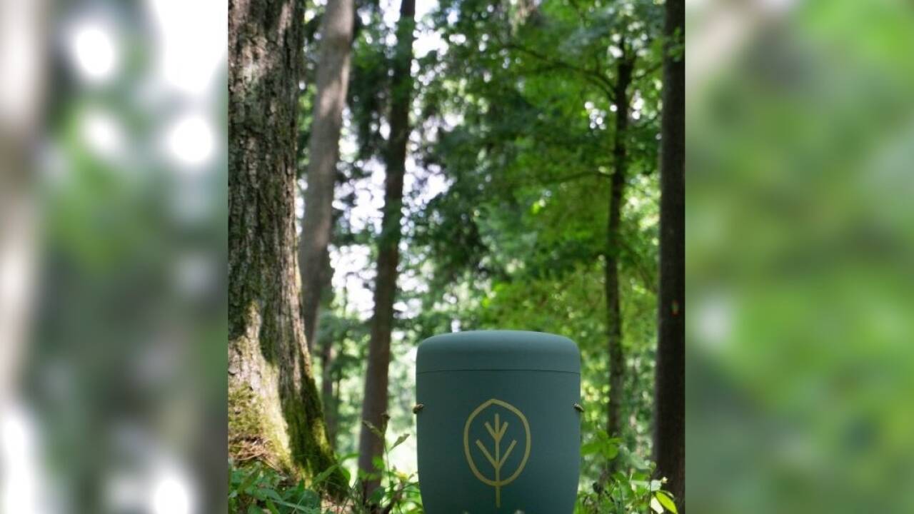 Pax Natura bietet auf acht Friedhöfen Naturbestattung an. 
