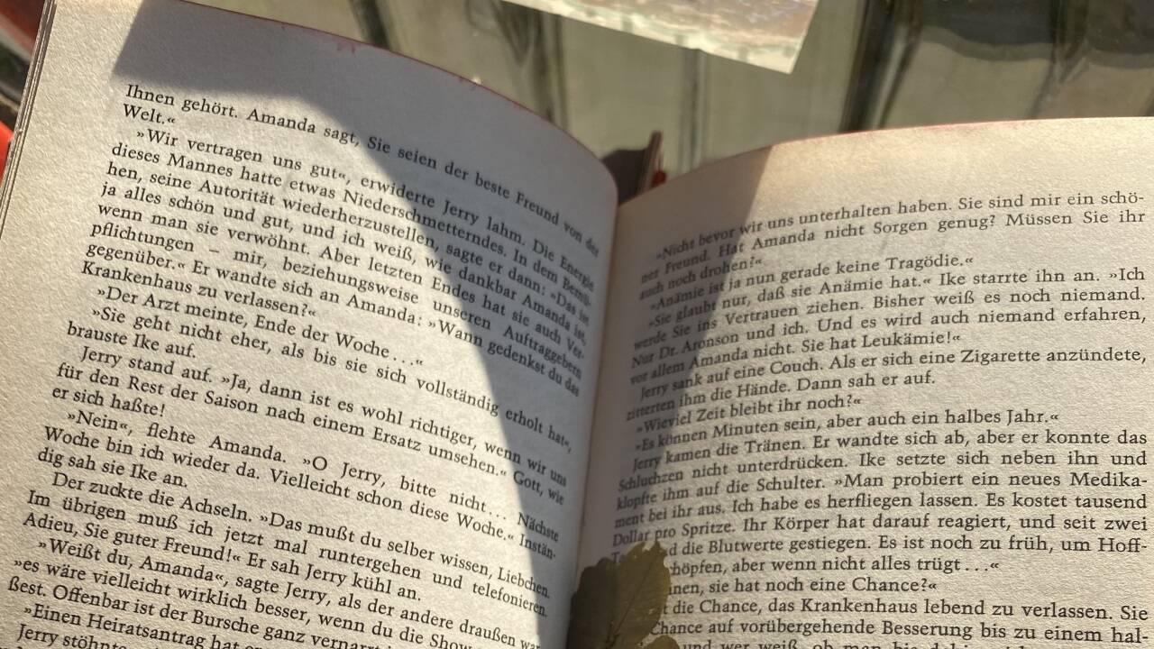 Früher wurde hier telefoniert, heute dienen manche Telefonzellen als Mini-Büchereien.  