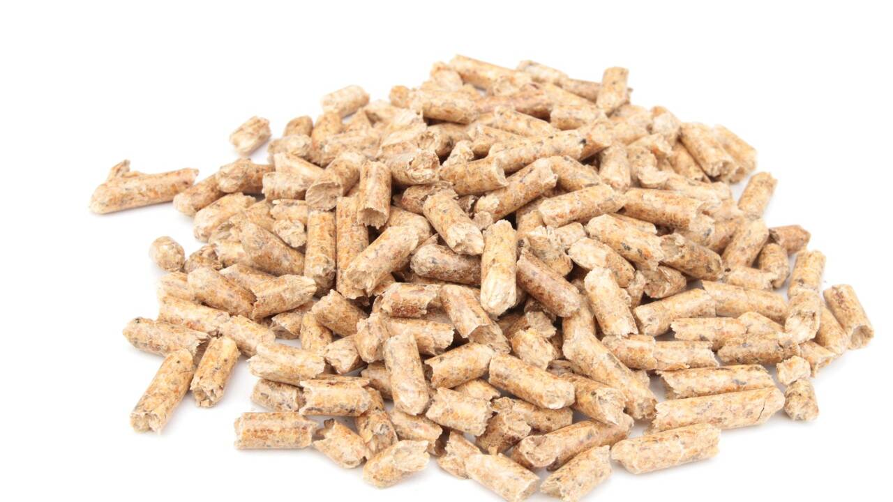 Das Heizen mit Pellets gilt als besonders umweltfreundlich und preiswert.  