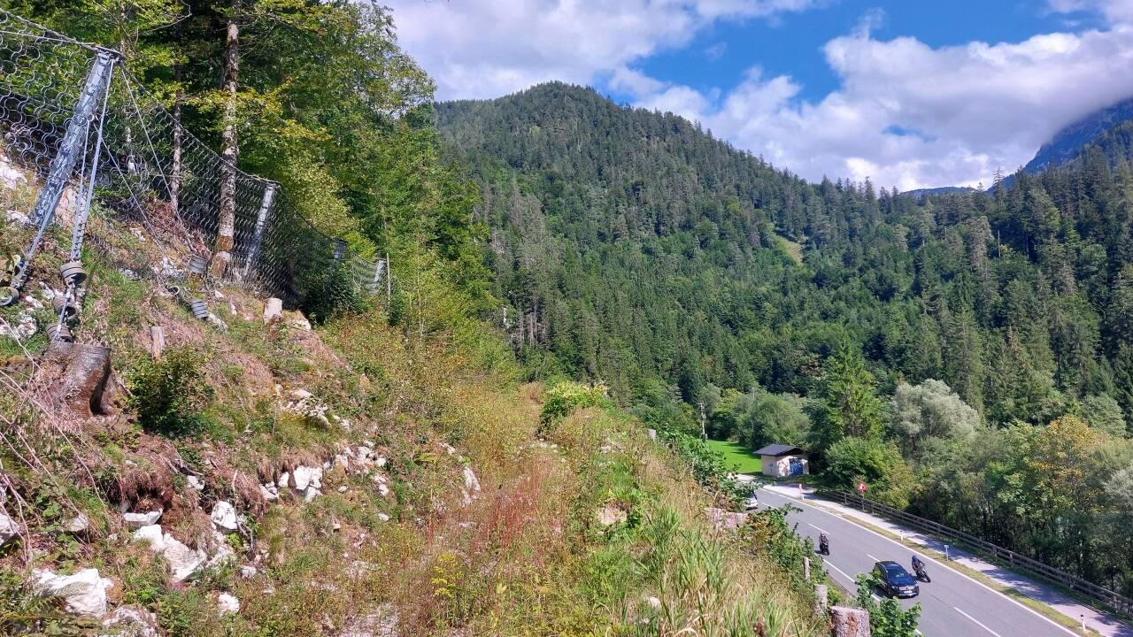 Der neben den Stahlzäunen angelegte Forstweg hat Bewegungen der obersten Schicht des Hanges begünstigt. Das griff die Fundamente der Zäune an.  